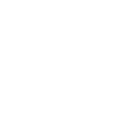 Disposable Flower Pots