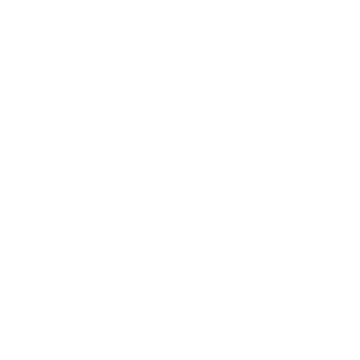 Fries Box